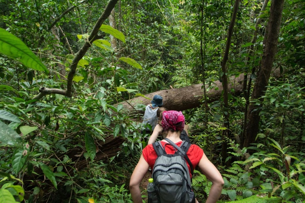 Oplevelser i Thailand - Khao Yai - vandretur i national parken