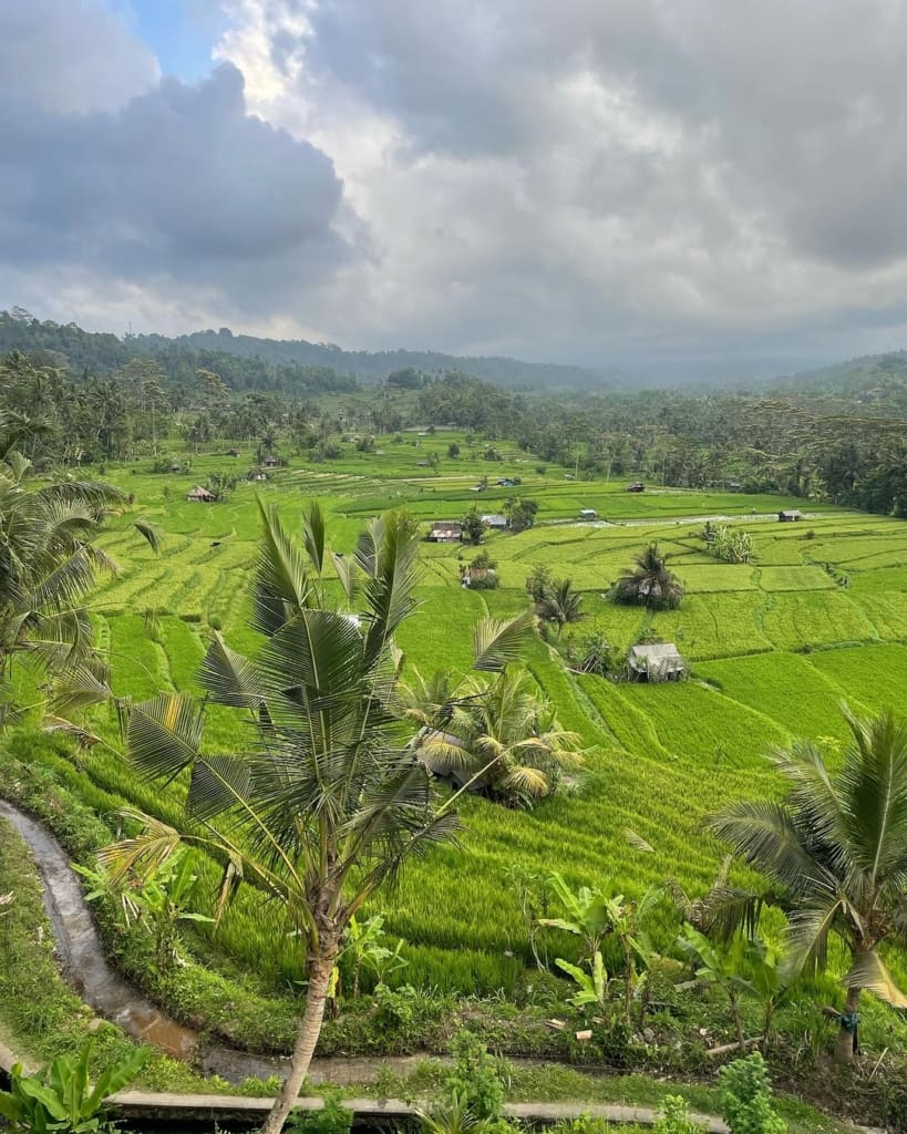 Rejser til Bali - Oplevelser i Sidemen