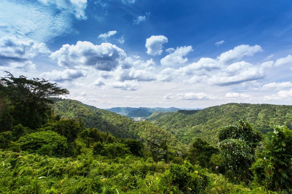 Oplevelser i Thailand - Khao Yai - natur i Khao Yai National Park