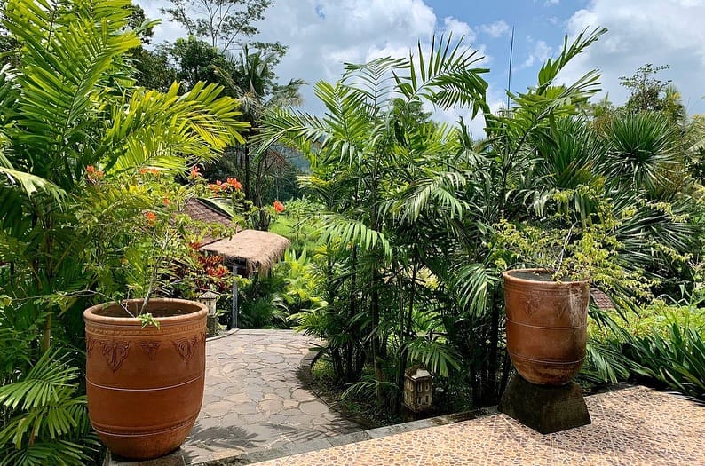 Hoteller i Indonesien - Pelangi Villas Sidemen - Sidemen