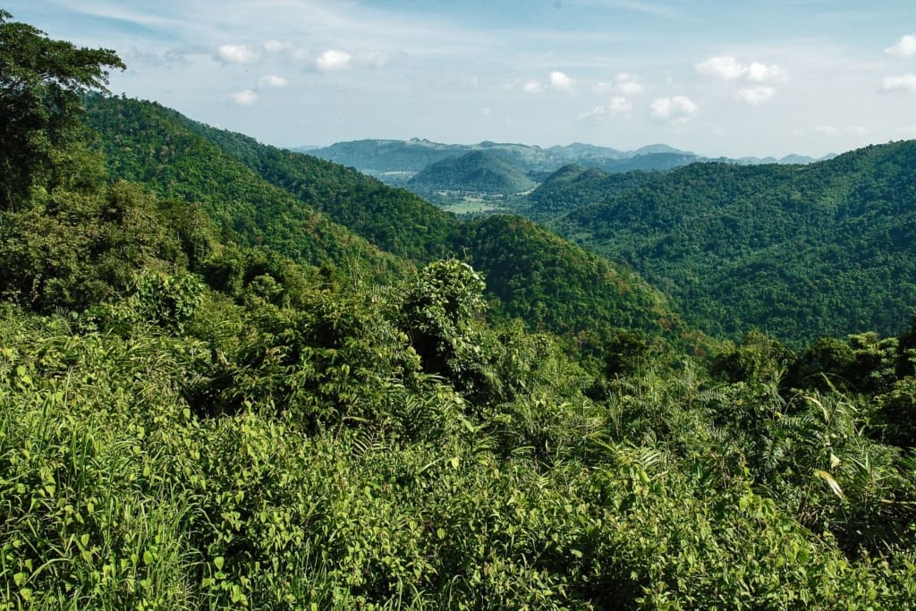 Oplevelser i Thailand - Khao Yai - Khao Yai National Park