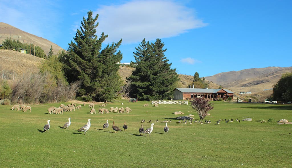 Hoteller i Argentina - Kau Yatún Hotel de Campo - El Calafate