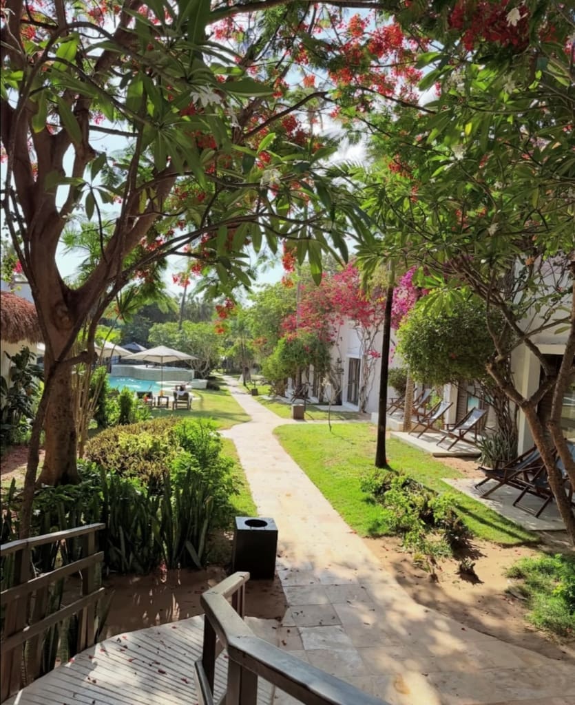 My Blue Hotel i Jericoacoara - Rejser til Brasilien med C&C Travel