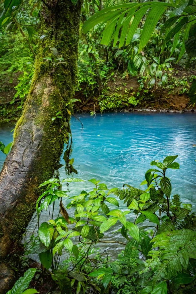 Rejser til Costa Rica, Rejser til Rio Celeste