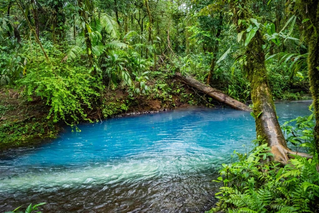 Rejser til Costa Rica, Rejser til Rio Celeste