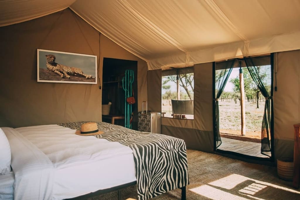 Rejser til Serengeti - Rejser til Tanzania med C&C Travel - Kon Tiki Camp