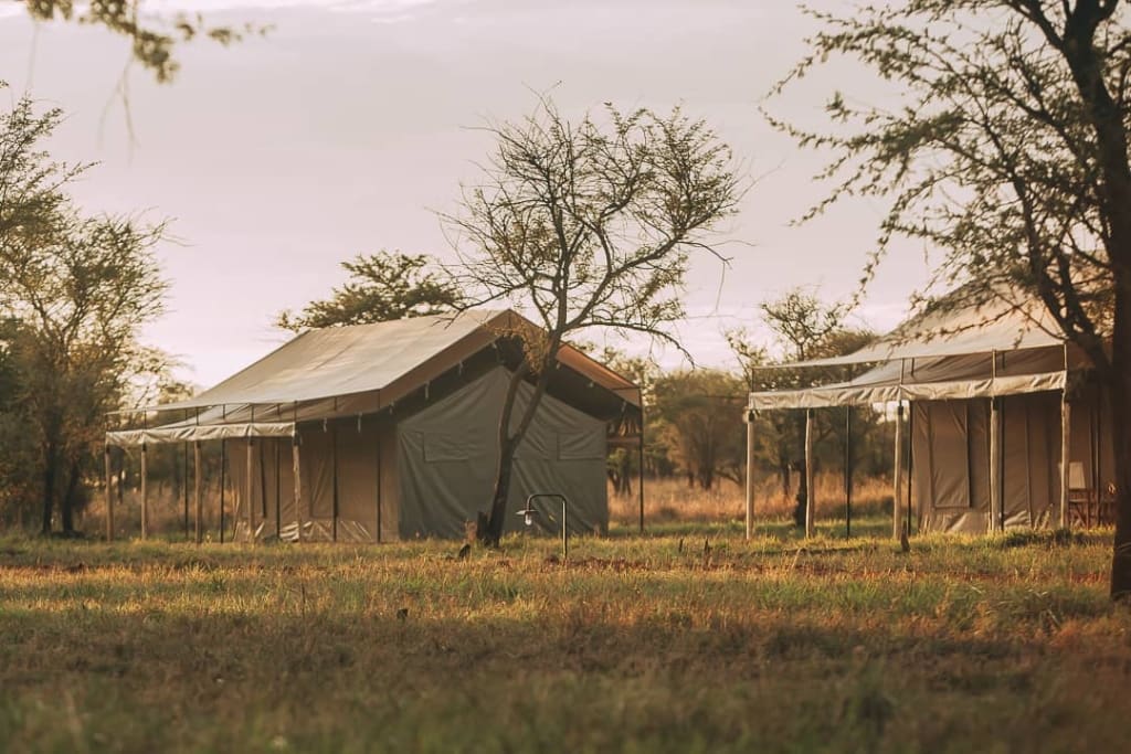 Rejser til Serengeti - Rejser til Tanzania med C&C Travel - Kon Tiki Camp