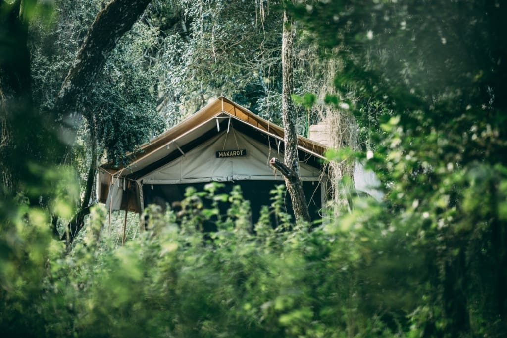 Rejser til Ngorongoro - Rejser til Tanzania med C&C Travel - Ngorongoro Tortilis Camp