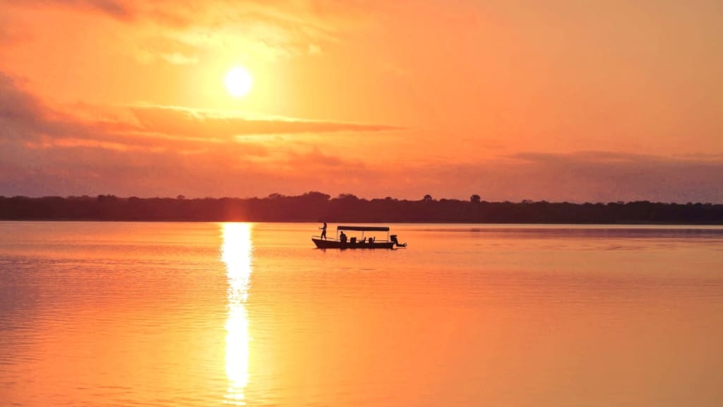 Fiskesafari i Tanzania - Sportsfiskeri på Rubondo Island - C&C Travel