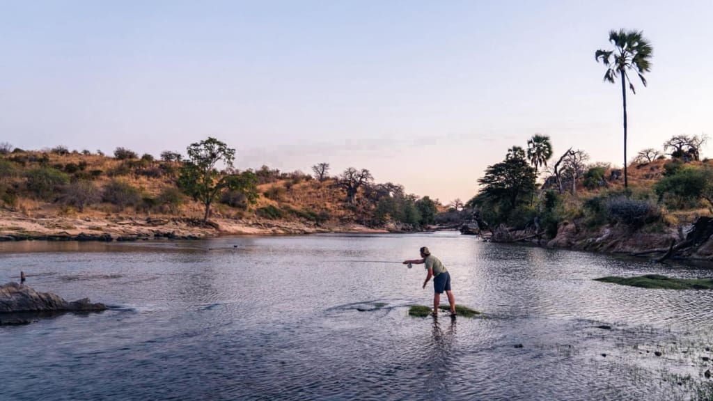 Fiskesafari i Tanzania - Sportsfiskeri på Rubondo Island - C&C Travel