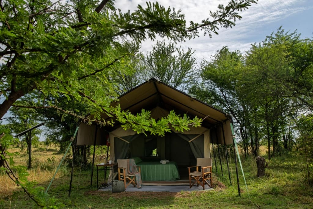 Mara Kati Kati Tented Camp i Serengeti - Rejser til Tanzania med C&C Travel