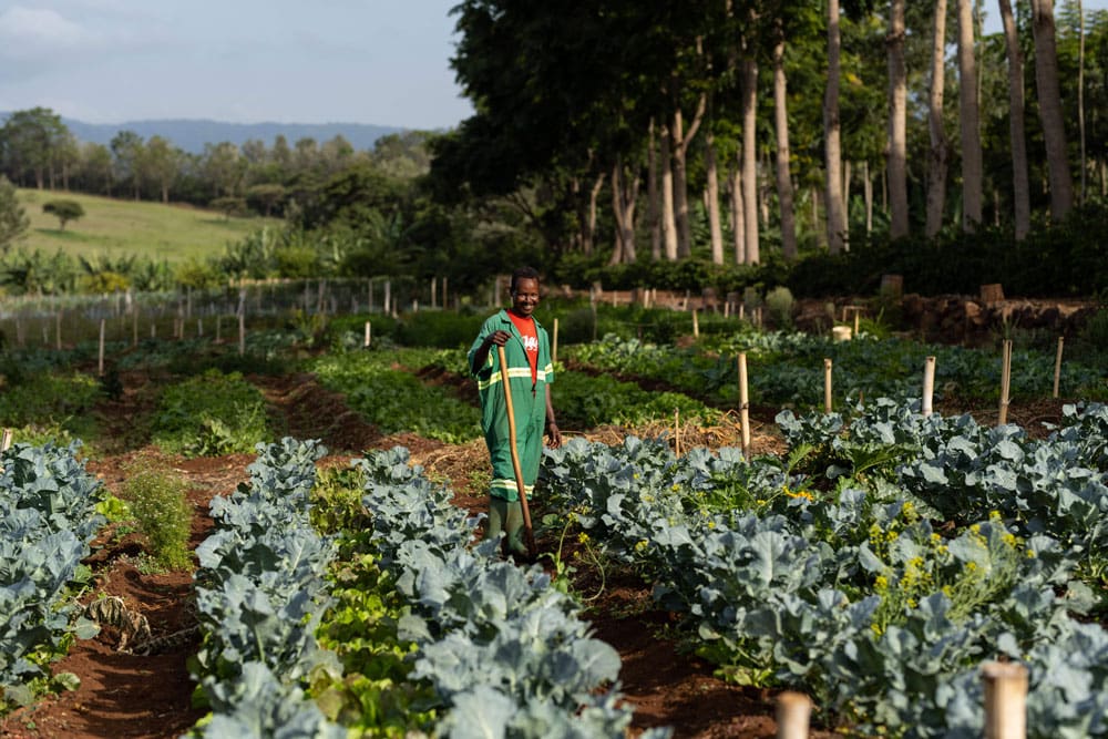 Rejser til Karatu - Rejser til Tanzania med C&C Travel - Ngorongoro Farm House