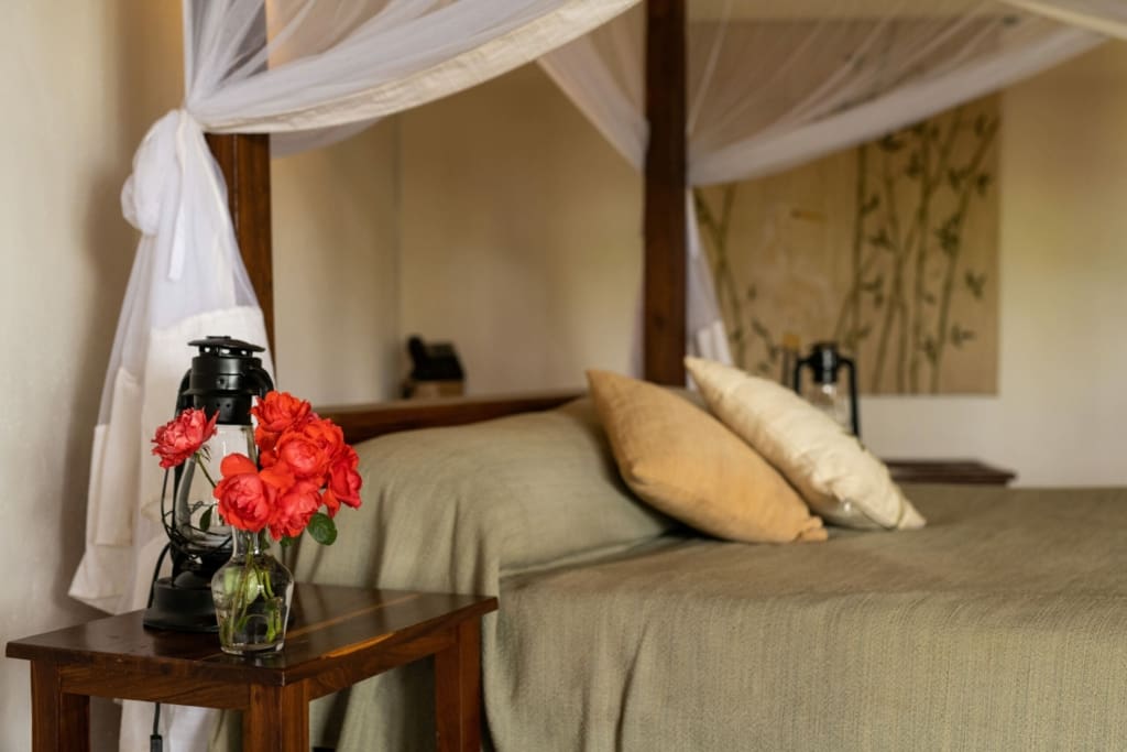 Rejser til Karatu - Rejser til Tanzania med C&C Travel - Ngorongoro Farm House