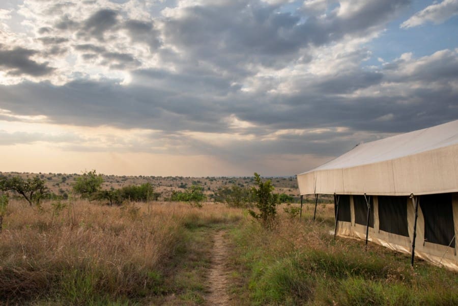 Rejser til Serengeti - Rejser til Tanzania med C&C Travel - Nyikani Migration Camp - Kogatende