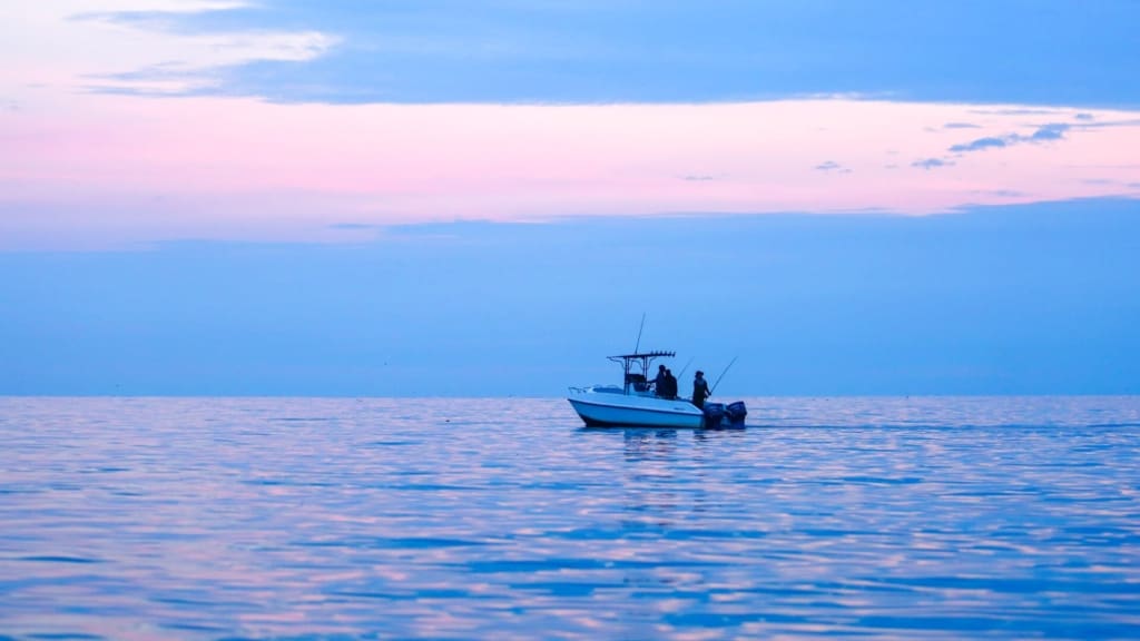 Fiskesafari i Tanzania - Sportsfiskeri på Rubondo Island - C&C Travel