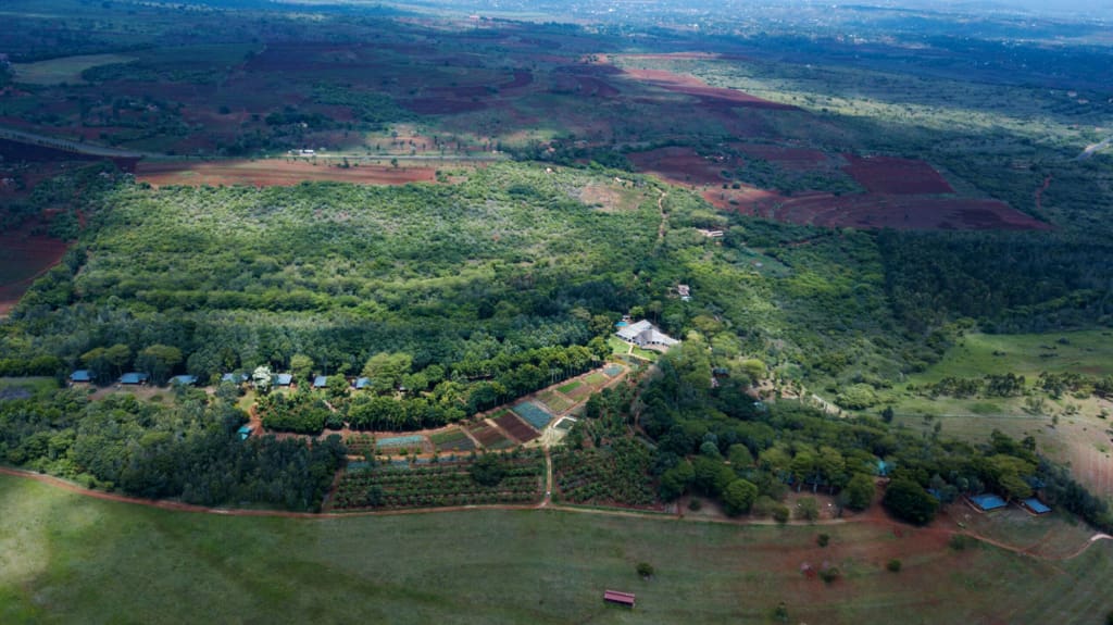Rejser til Karatu - Rejser til Tanzania med C&C Travel - Ngorongoro Farm House