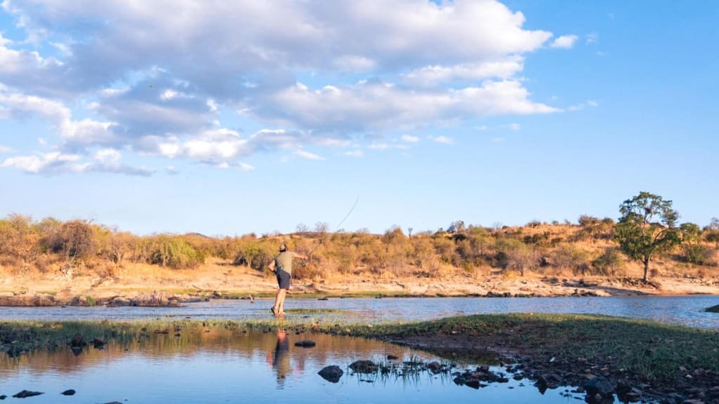 Fiskesafari i Tanzania - Sportsfiskeri på Rubondo Island - C&C Travel