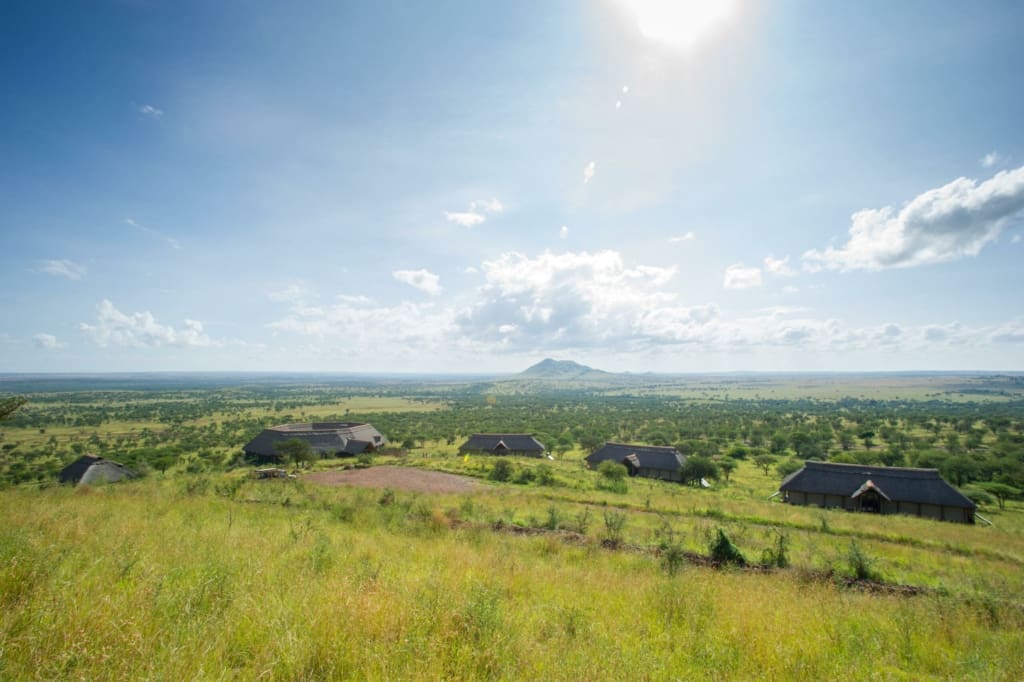 Rejser til Serengeti - Rejser til Tanzania med C&C Travel - Kubukubu Tented Lodge