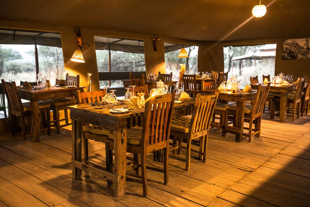 Rejser til Serengeti - Rejser til Tanzania med C&C Travel - Serengeti Pure Tented Camp