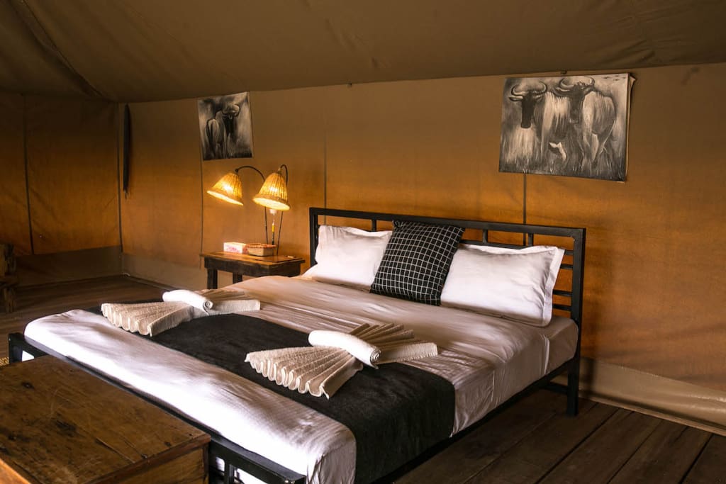 Rejser til Serengeti - Rejser til Tanzania med C&C Travel - Serengeti Pure Tented Camp