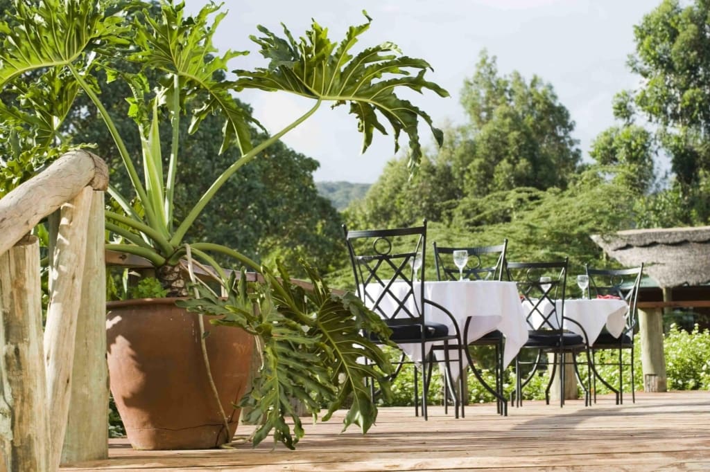 Rejser til Karatu - Rejser til Tanzania med C&C Travel - Tloma Lodge