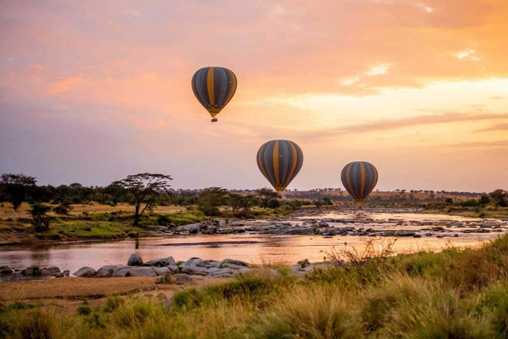Rejser til Tarangire Nationalpark - Rejser til Tanzania med C&C Travel