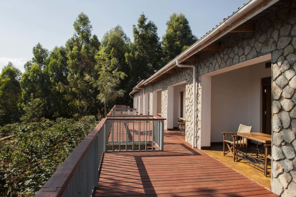 Rejser til Karatu - Rejser til Tanzania med C&C Travel - Tloma Lodge