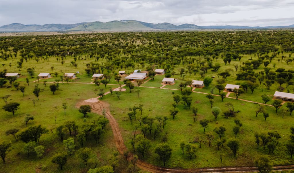 Rejser til Serengeti - Rejser til Tanzania med C&C Travel - Kon Tiki Camp