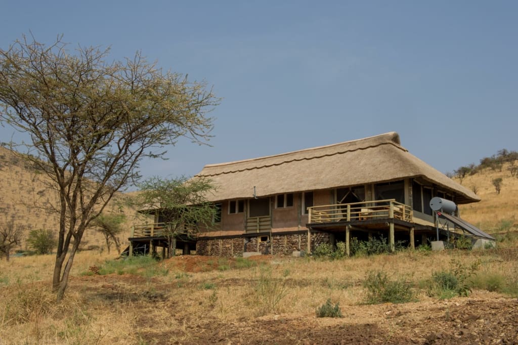 Rejser til Serengeti - Rejser til Tanzania med C&C Travel - Kubukubu Tented Lodge