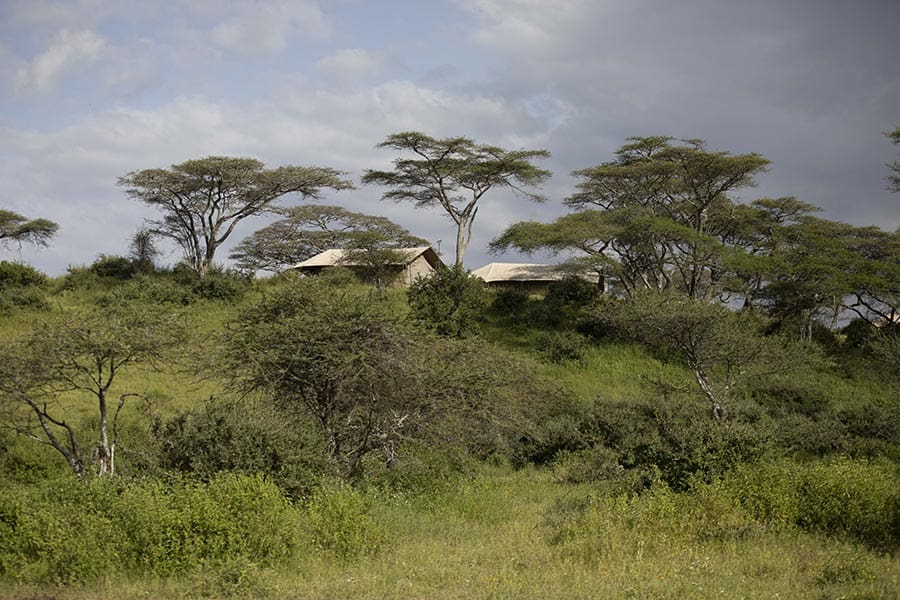 Rejser til Serengeti - Rejser til Tanzania med C&C Travel - Nyikani Migration Camp - Kogatende