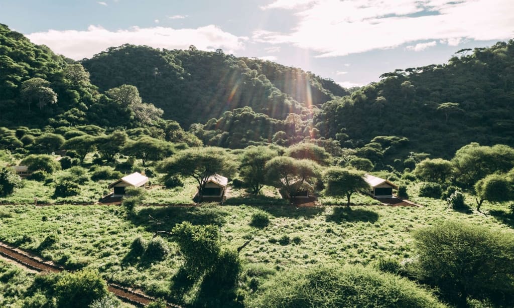 Lake Manyara Tortilis Camp - Rejser til Tanzania med C&C Travel