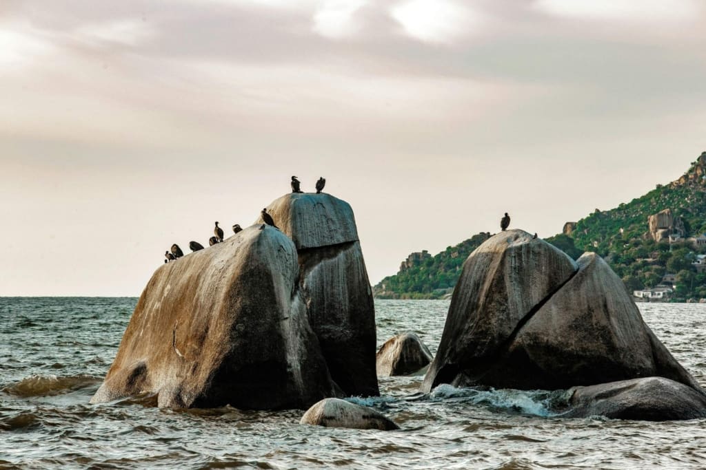 Rejser til Mwanza - Rejser til Tanzania med C&C Travel