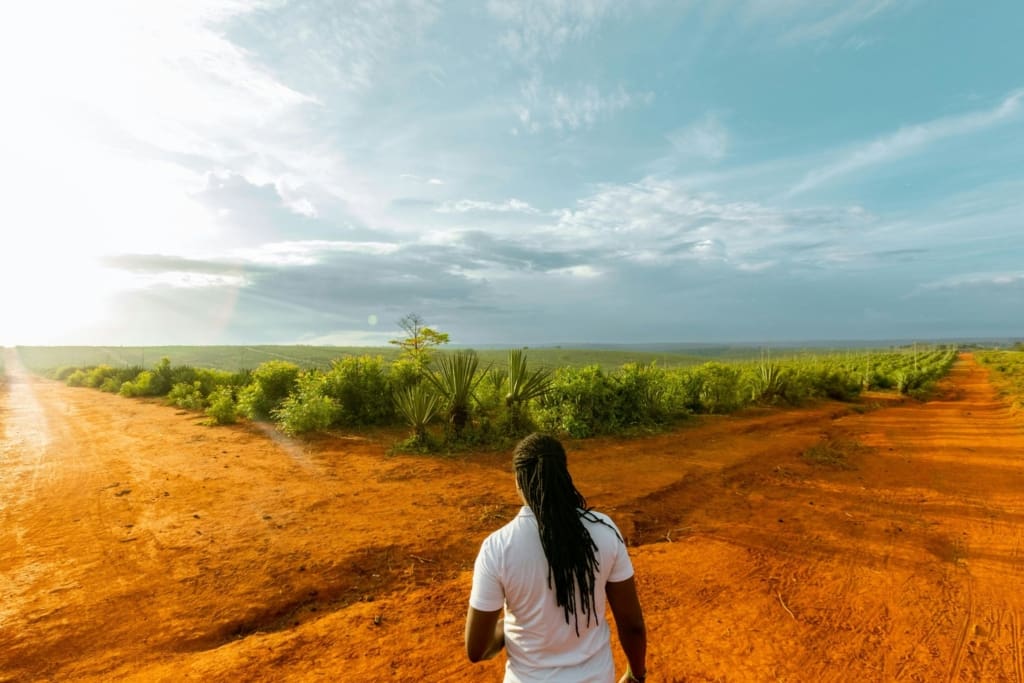 Rejser til Mwanza - Rejser til Tanzania med C&C Travel