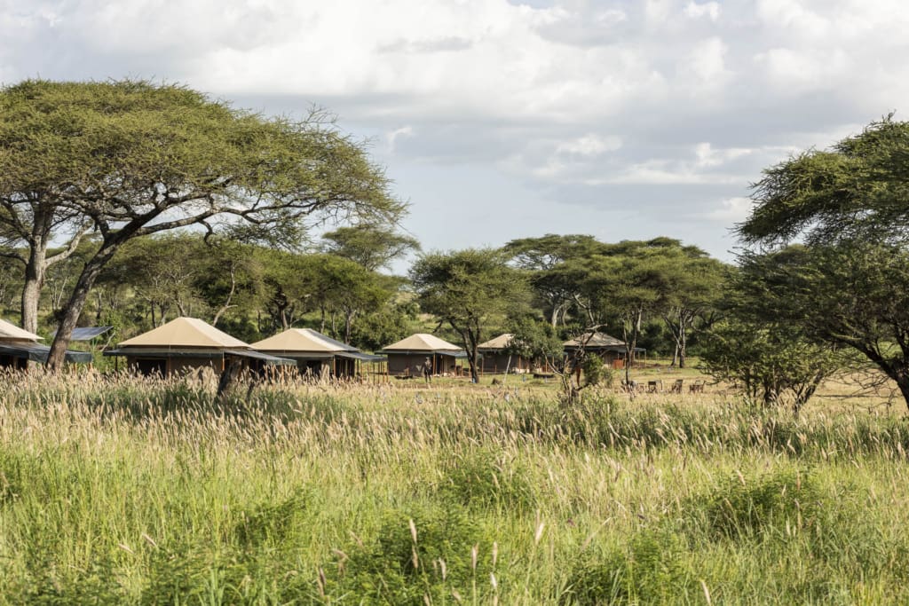 Rejser til Serengeti - Rejser til Tanzania med C&C Travel - Baobab Camp