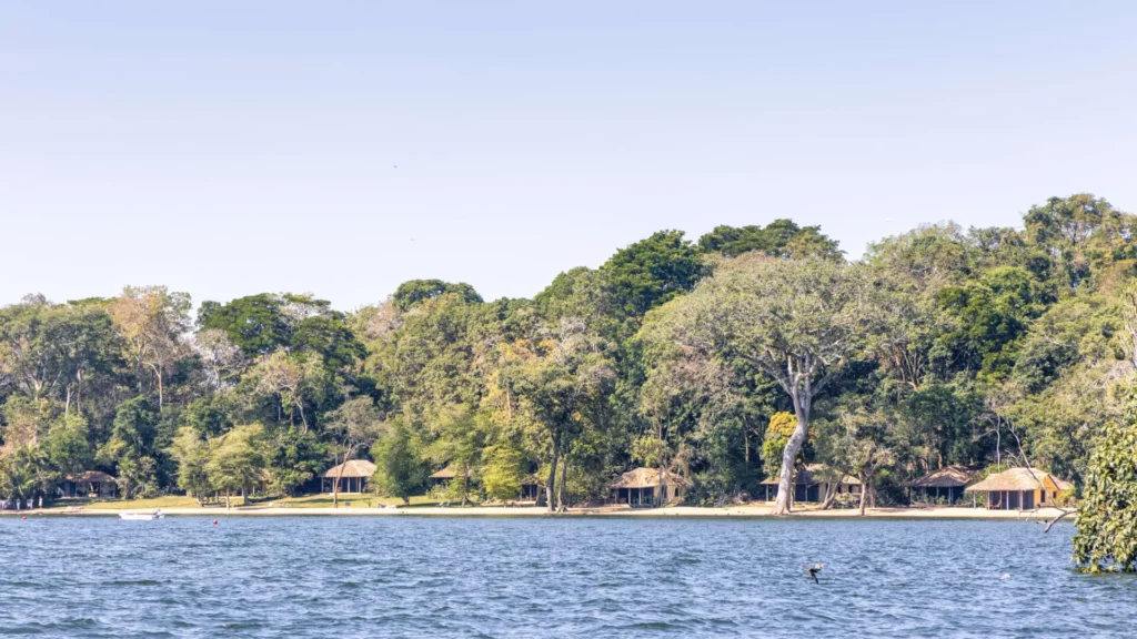 Rejser til Rubondo Island - Rejser til Tanzania med C&C Travel