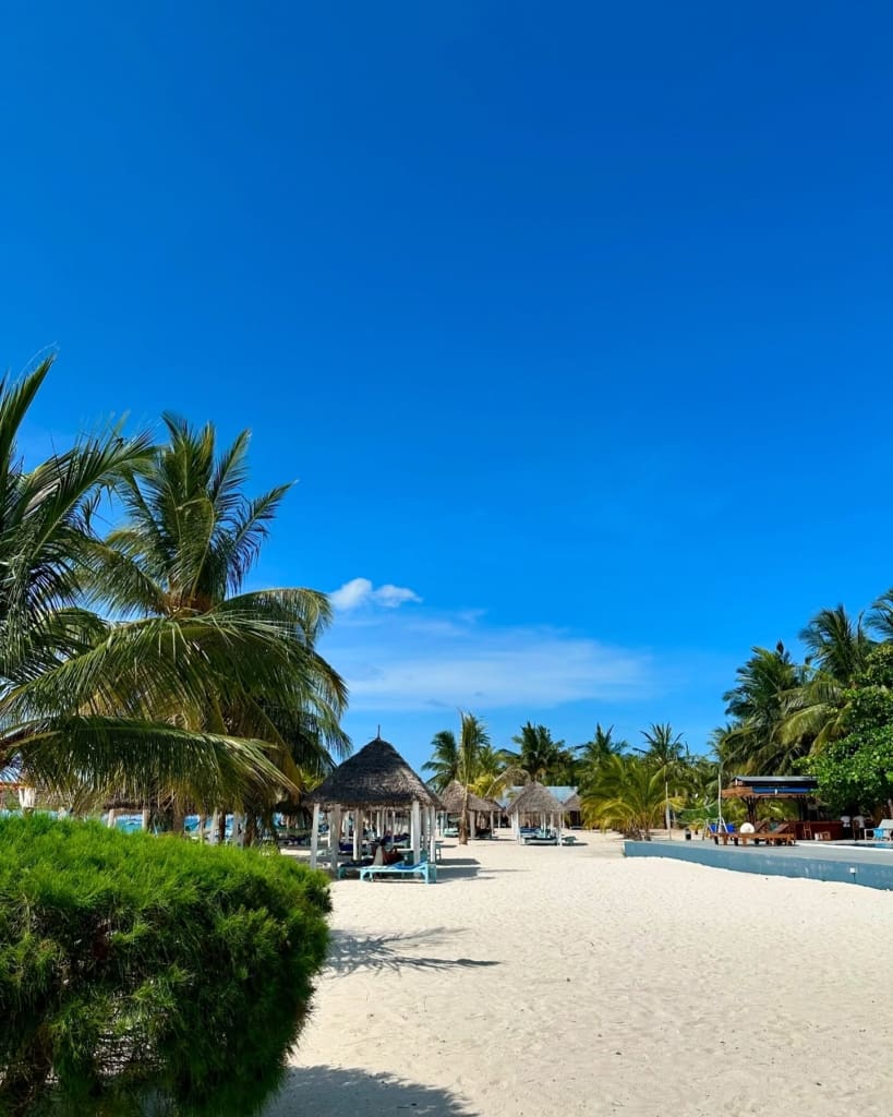 Rejser til Zanzibar - Rejser til Tanzania med C&C Travel - Sunset Kendwa