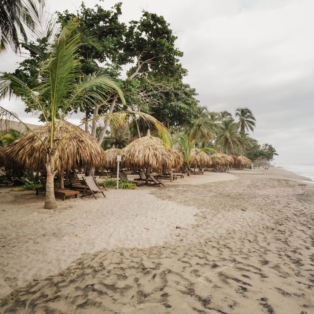 Naio Hotel - Rejser til Palomino i Colombia med C&C Travel