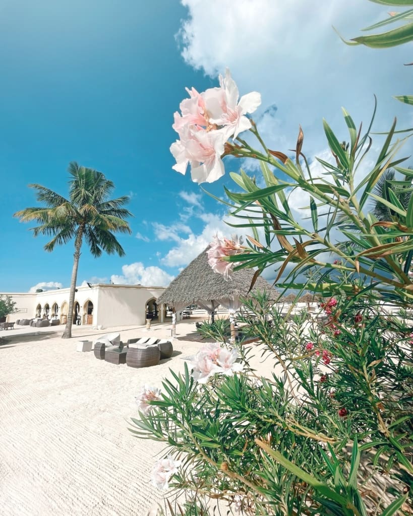 Rejser til Zanzibar - Rejser til Tanzania med C&C Travel - Zuri Zanzibar - Gold Zanzibar Beach House & Spa