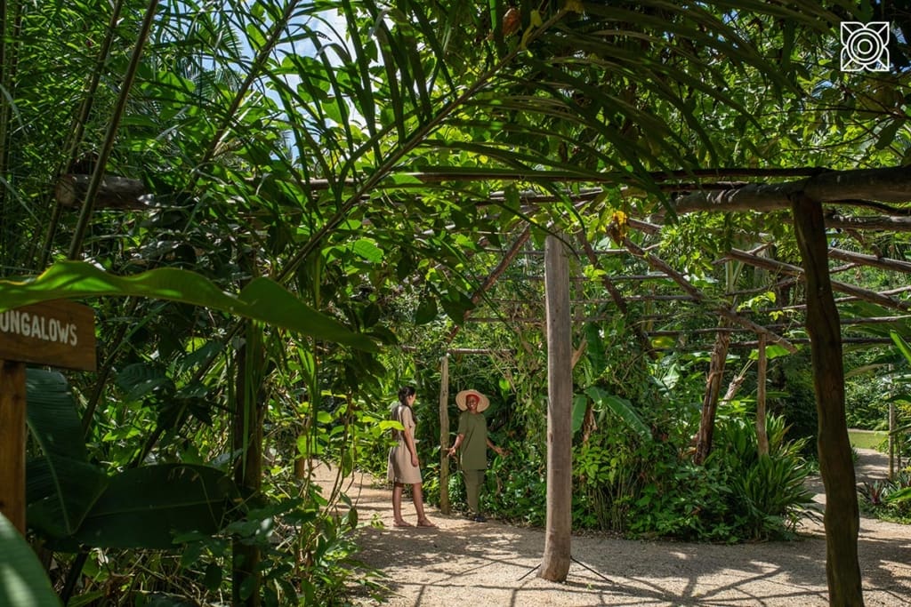 Rejser til Zanzibar - Rejser til Tanzania med C&C Travel - Zuri Zanzibar