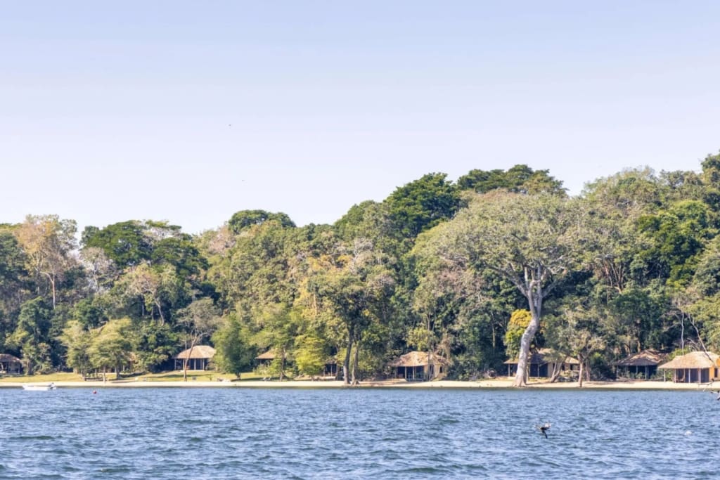 Rejser til Tanzania - Rejser til Rubondo Island - Bo på Rubondo Island Camp