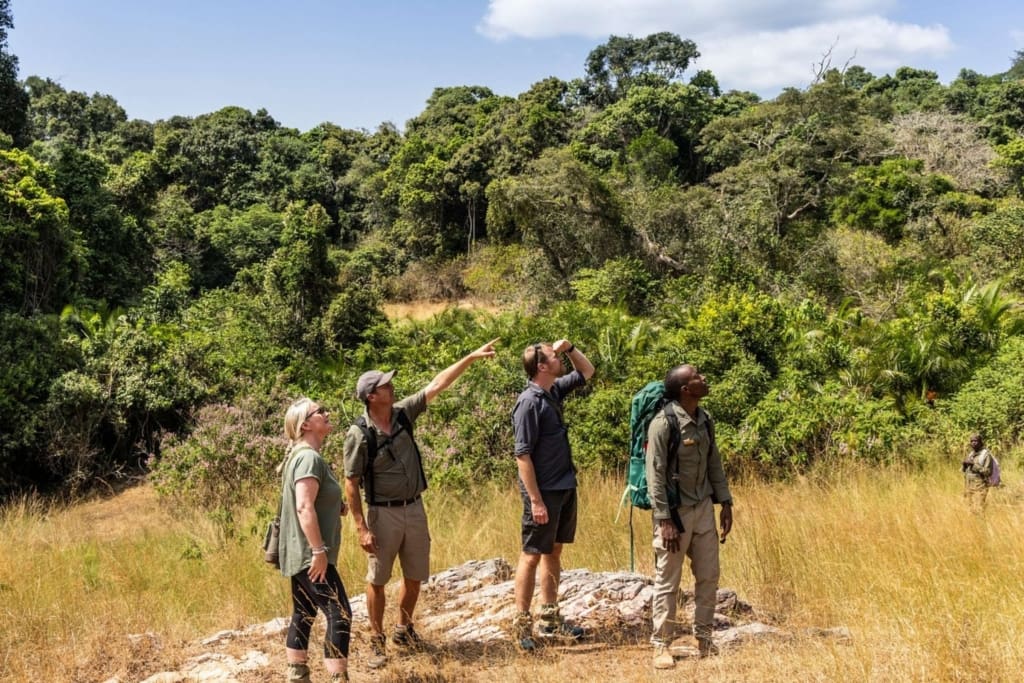 Rejser til Tanzania - Rejser til Rubondo Island - Bo på Rubondo Island Camp