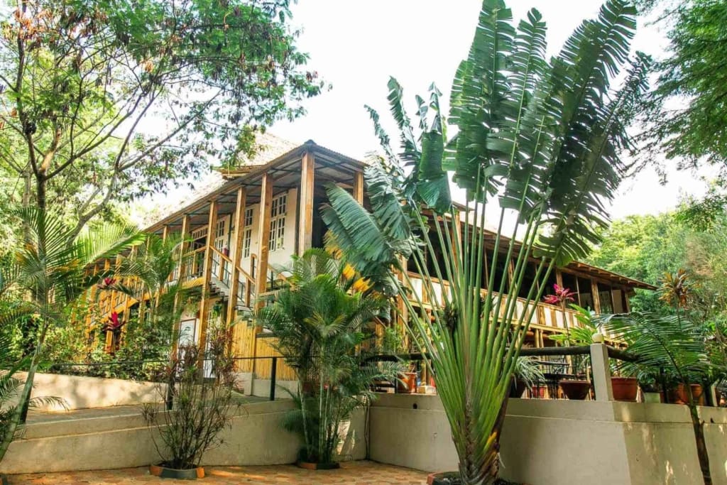 Rejser til Tanzania - Eileen's Trees Inn – Karatu