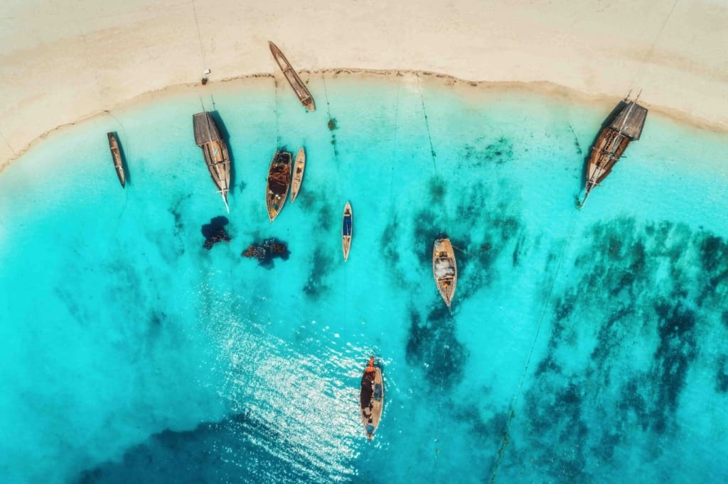 Rejser til Tanzania - Rejser til Zanzibar - Safari Blue Tour