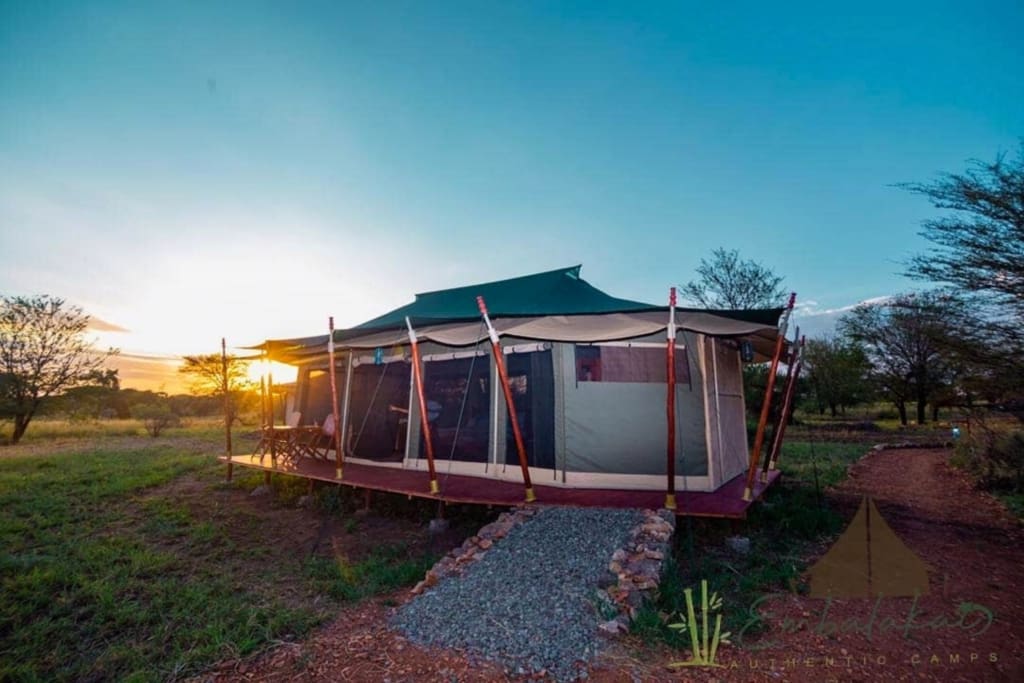 Bo på Embalakai Camps i Tanzania - Rejser til Tanzania - Rejser til Ngorongoro