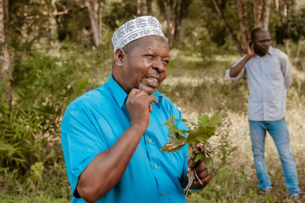 Rejser til Tanzania - Rejser til Zanzibar - Besøg på krydderifarm