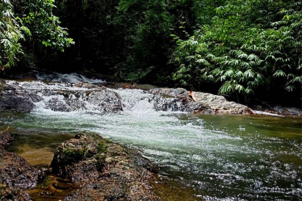 Rejser til Thailand - Khao Lak - Junior Ranger