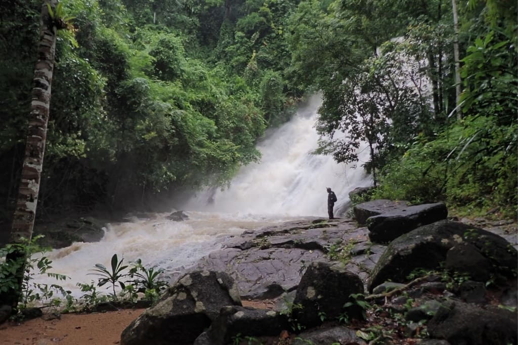 Rejser til Thailand - Khao Lak - Junglevandring