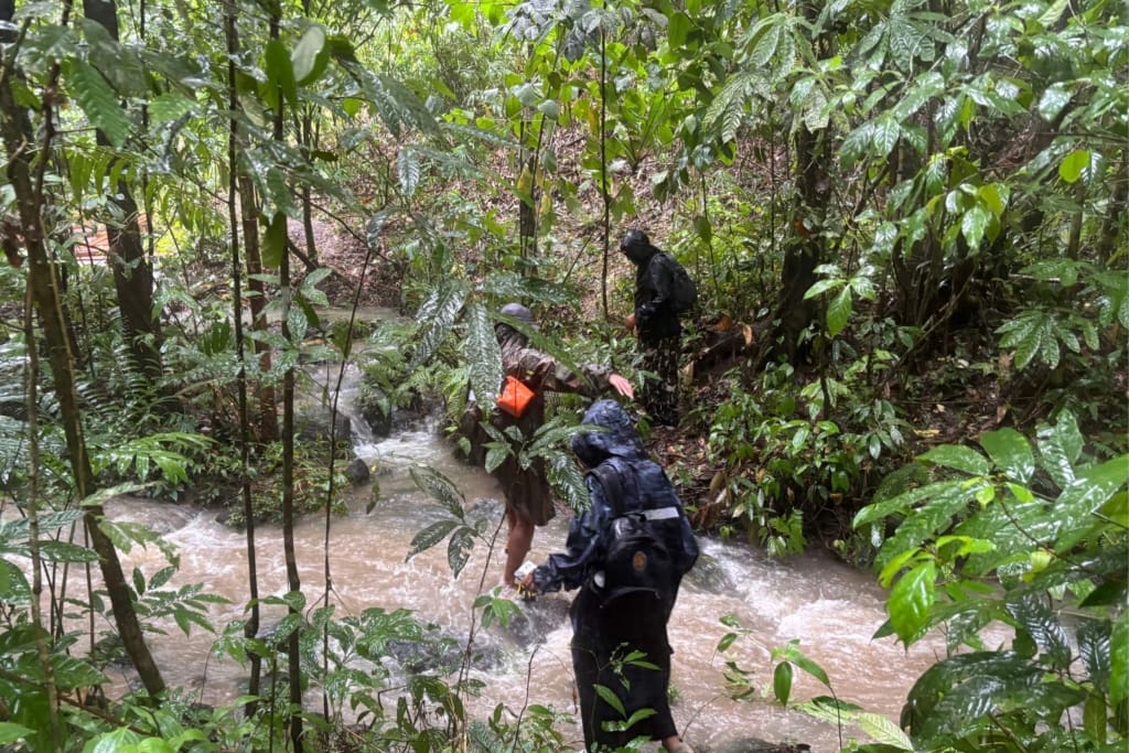 Rejser til Thailand - Khao Lak - Junglevandring