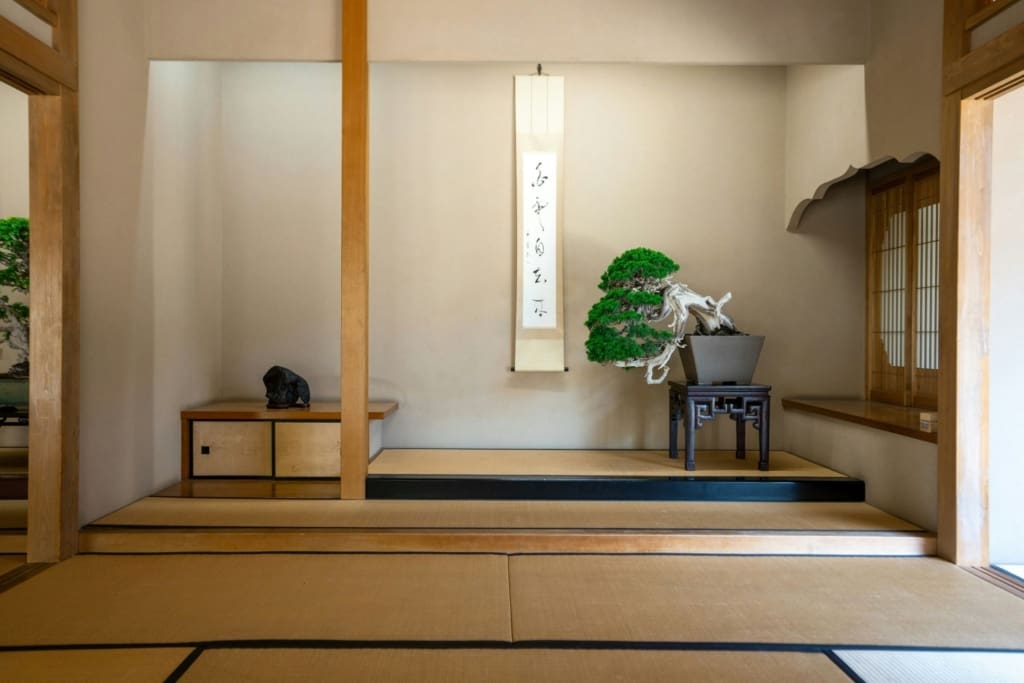 Teceremoni i Kyoto