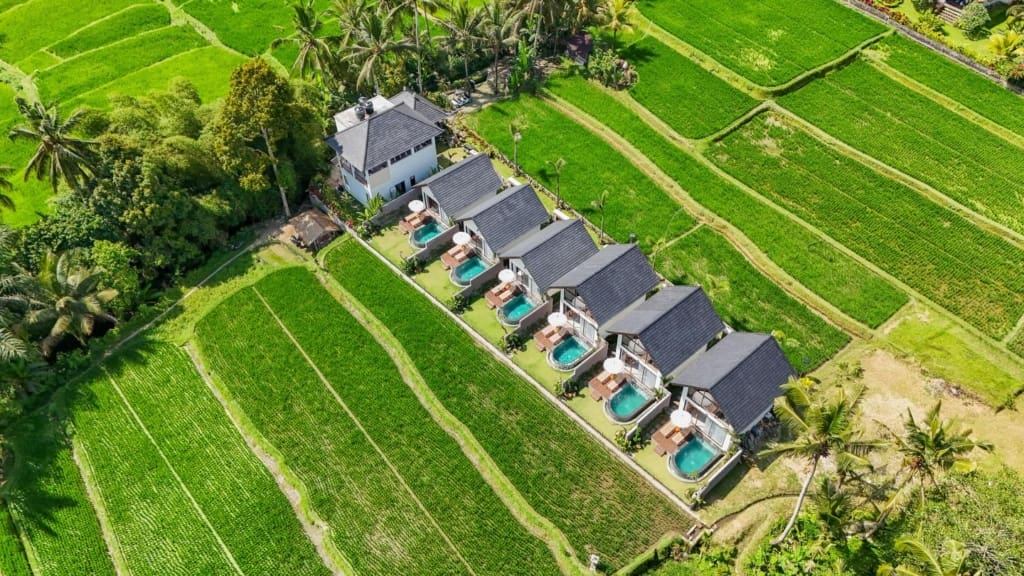 Rejser til Bali - Rejser til Ubud - Ascarya Villa Ubud